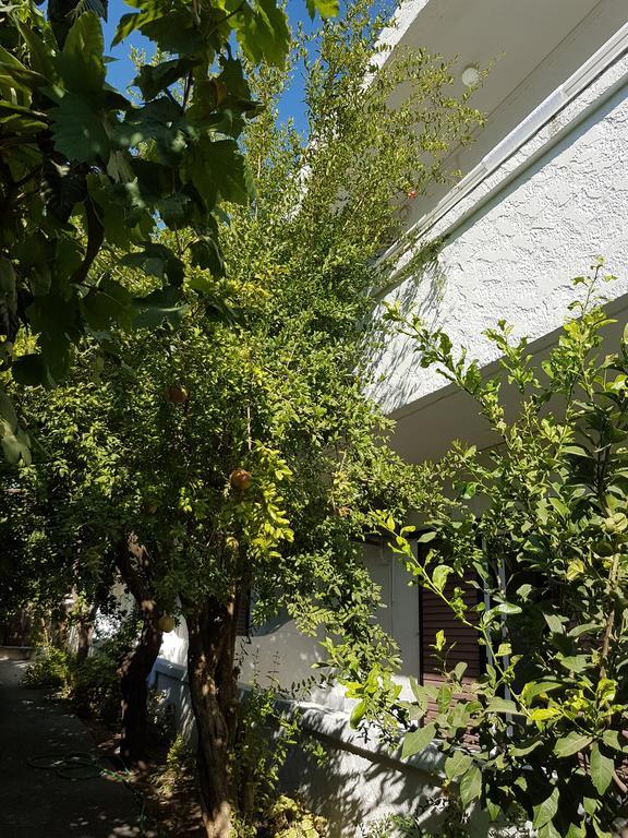 塔拉萨一室公寓 法里拉基 外观 照片