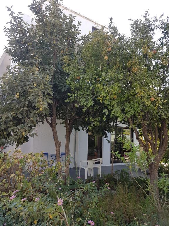 塔拉萨一室公寓 法里拉基 外观 照片